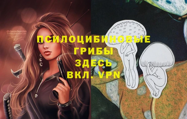 гашик Волоколамск