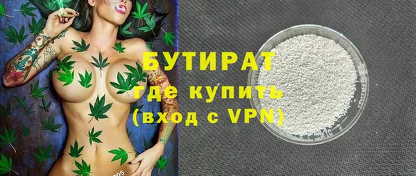 индика Володарск