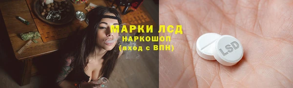 индика Володарск