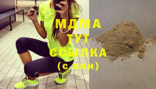 индика Володарск