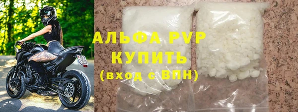 индика Володарск