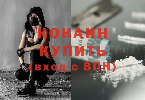 индика Володарск