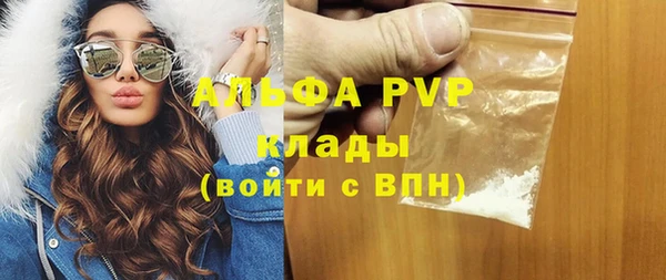 индика Володарск