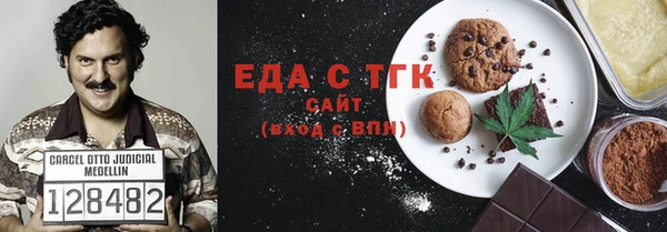 индика Володарск