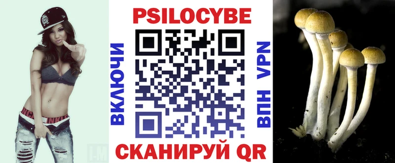Галлюциногенные грибы Psilocybine cubensis  купить наркотики сайты  KRAKEN сайт  Новоузенск 